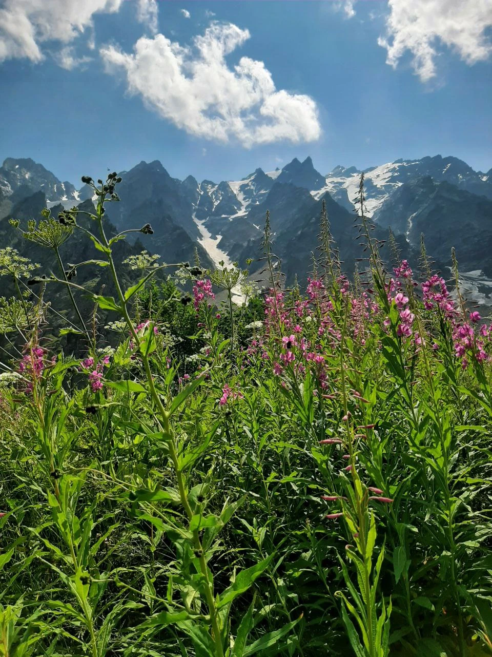 Фотография, рис. 18