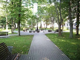 Фотография, рис. 36