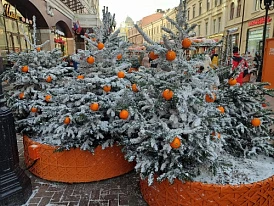 Фотография, рис. 3