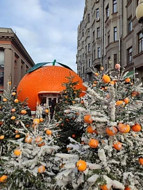 Фотография, рис. 16