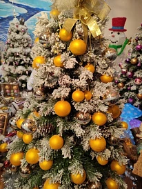 Фотография, рис. 20