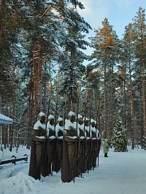 Фотография, рис. 16