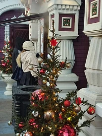 Фотография, рис. 19