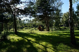 Фотография, рис. 99