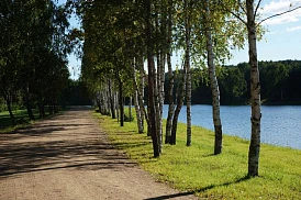 Фотография, рис. 5