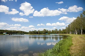 Фотография, рис. 92