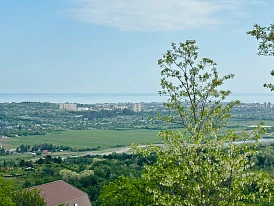 Фотография, рис. 14