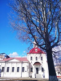 Фотография, рис. 15