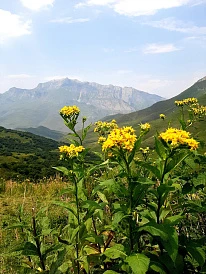 Фотография, рис. 26