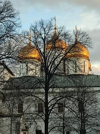 Фотография, рис. 7