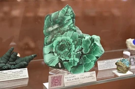 Фотография, рис. 15