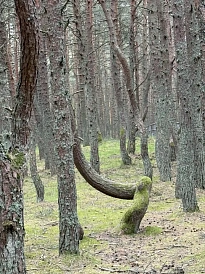 Фотография, рис. 20