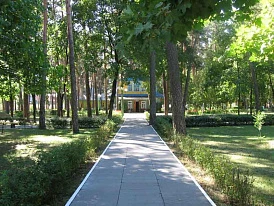 Фотография, рис. 16