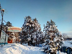 Фотография, рис. 11