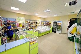 Фотография, рис. 31