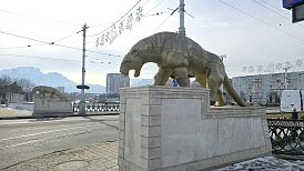 Фотография, рис. 23