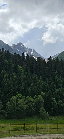 Фотография, рис. 18