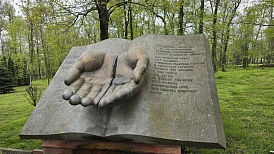 Фотография, рис. 10