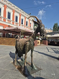 Фотография, рис. 19