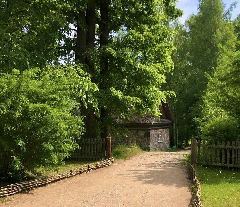 Фотография, рис. 27
