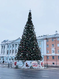 Фотография, рис. 8