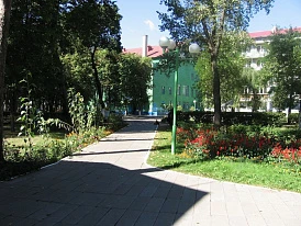 Фотография, рис. 25