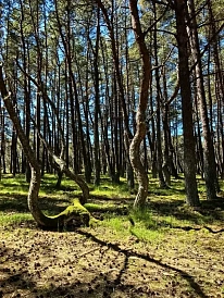 Фотография, рис. 2