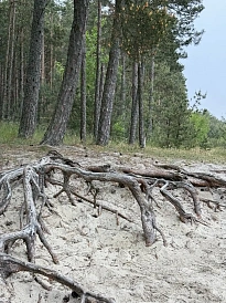 Фотография, рис. 23