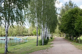 Фотография, рис. 93