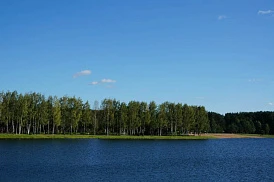 Фотография, рис. 41