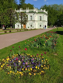 Фотография, рис. 4