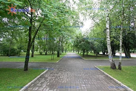 Фотография, рис. 18