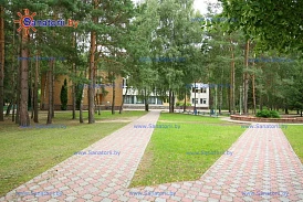 Фотография, рис. 19