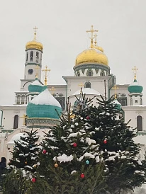 Фотография, рис. 7