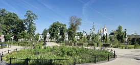 Фотография, рис. 25
