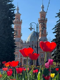 Фотография, рис. 6