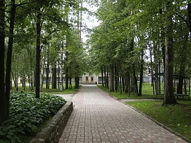 Фотография, рис. 27