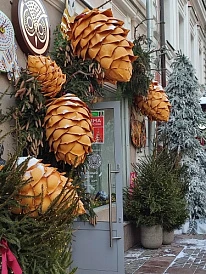 Фотография, рис. 12
