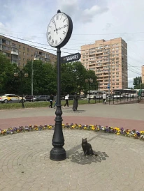 Фотография, рис. 8
