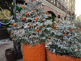 Фотография, рис. 14