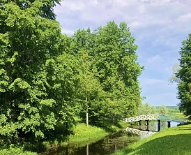 Фотография, рис. 8