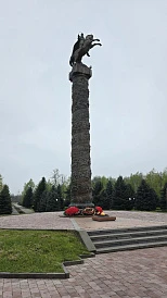 Фотография, рис. 25